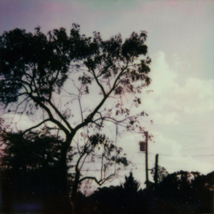 苍老师巅峰之作第24集播放
