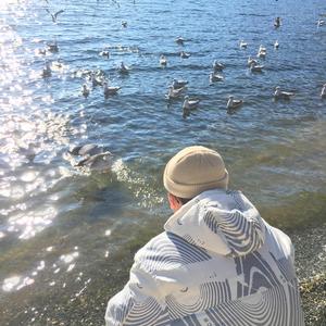 苍老师巅峰之作第24集播放
