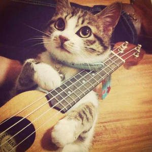 苍老师巅峰之作第24集播放
